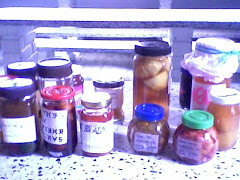 Proyctos tecnológicos